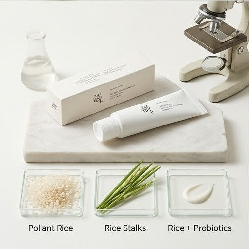 Beauty of Joseon | Relief Sun Protector Solar SPF50+